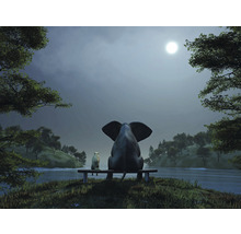 Illustratie van een olifant en een hond die ''s nachts op een bank aan het water zitten