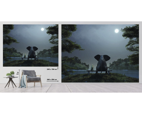 Fotobehang met een afbeelding van een olifant en een vogel op een bank onder de maan