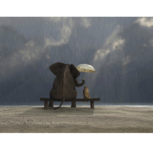 Een olifant en een grondeekhoorn zitten op een bank in de regen, de olifant houdt een paraplu vast.