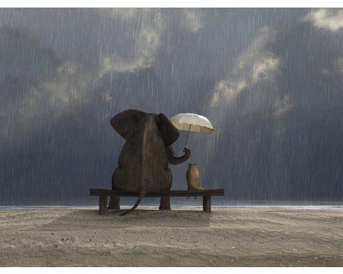 SPECIAL DECORATION Fotobehang vlies Olifant en hond in de regen 340x254 cm Een olifant en een grondeekhoorn zitten op een bank in de regen, de olifant houdt een paraplu vast.