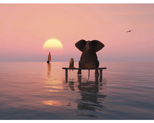 SPECIAL DECORATION Fotobehang vlies Olifant en hond in het water 340x254 cm Illustratie van een olifant en een hond die op een steiger zitten en naar de zee kijken