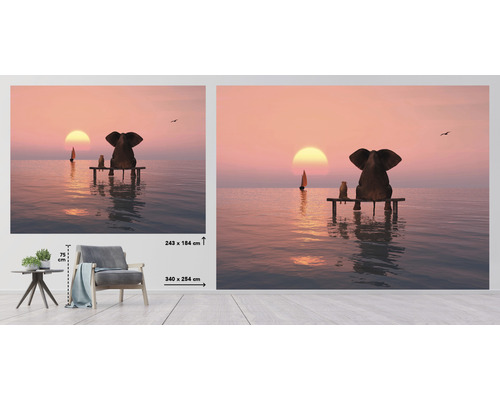 Fotobehang met olifant en stokstaartje op een pier bij zonsondergang, maatindicaties