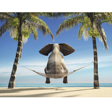 Olifant zit in een hangmat tussen twee palmbomen op het strand met uitzicht op de zee
