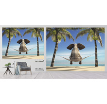 Fotobehang met een olifant in een hangmat tussen palmbomen op het strand