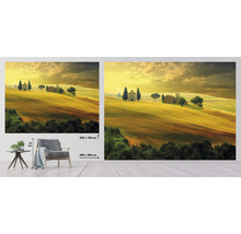 Wanddecoratie met landschapmotief, Toscane, Italië, maten 340 x 254 centimeter en 243 x 184 centimeter
