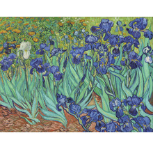 Schilderij van bloeiende irissen in een tuin.