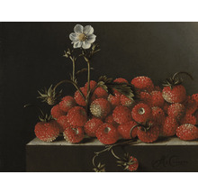 SPECIAL DECORATION Fotobehang vlies Adriaen Coorte Stilleven met bosaardbeien 340x254 cm