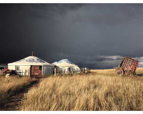 SPECIAL DECORATION Fotobehang vlies Mongolie Yurts 340x254 cm