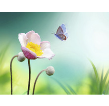 SPECIAL DECORATION Fotobehang vlies Bloem met vlinder 340x254 cm