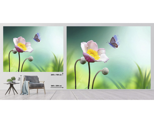 Fotobehang met bloemmotief en vlinder