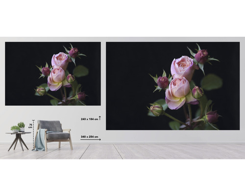Wanddecoratie met rozenmotief in een woonkamer, 243 bij 184 centimeter en 340 bij 254 centimeter