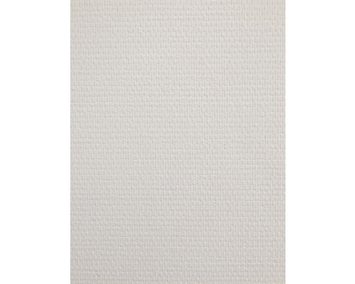 LECO Glasweefselbehang superfijn 150 gr/m² wit 1x25 m Behang met fijne structuur
