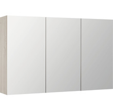 Spiegelkast met drie deuren voor de badkamer