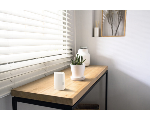 Scene met luchtbevochtiger, cactus en decoratieartikelen op een tafel.