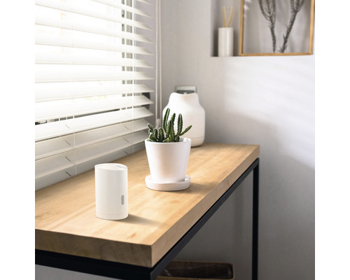 Kameropstelling met luchtontvochtiger, potplant en decoratie op een houten tafel.