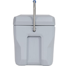 Koelbox met handgreep