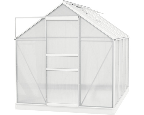 Kas met open deur en dakramen