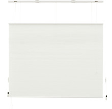 INTENSIONS Plissé honingraat top-down & bottom-up lichtdoorlatend wit 80x175 cm