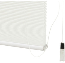 INTENSIONS Plissé honingraat top-down & bottom-up lichtdoorlatend wit 120x175 cm