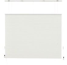 INTENSIONS Plissé honingraat top-down & bottom-up lichtoorlatend crème 80x175 cm