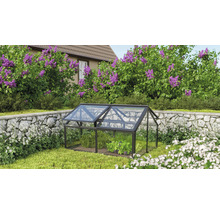 Kweekkas in tuin met open ramen voor plantenteelt