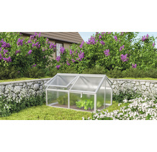 Kleine kas in de tuin met planten