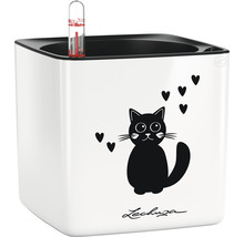 Lechuza Mini-Cubico plantenbak met kattenmotief en waterniveau-indicator