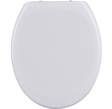 Toiletdeksel van kunststof