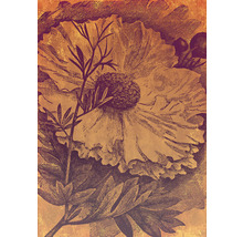 Illustratie van een bloem met bladeren