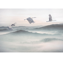 Decoratieve afbeelding met kraanvogels boven bergen in de mist