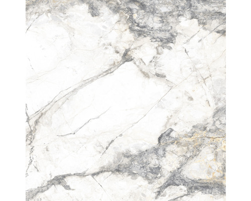 Wand- en Vloertegel Visage wit/grijs gepolijst 60x60 cm gerectificeerd