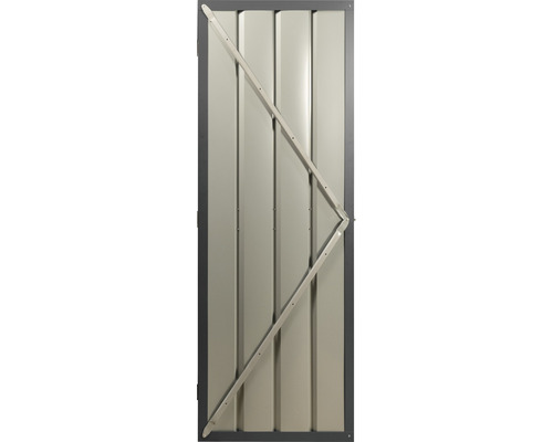 GLOBEL Zwaaideur kit 6 mm antraciet tbv Tower 200x66 cm GLOBEL Zwaaideur kit 6 mm antraciet tbv Tower 200x66 cm