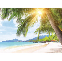 Tropisch strand met palmbomen en zonneschijn