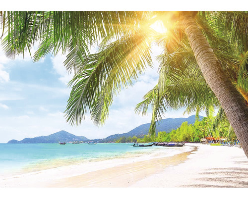 Tropisch strand met palmbomen en zonneschijn