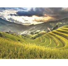 SPECIAL DECORATION Wanddoek Sawah 250x190 cm
