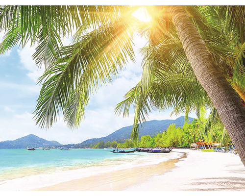 Tropisch strand met palmbomen en turquoise water