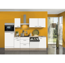 Moderne keuken met inbouwoven, spoelbak, kookplaat, afzuigkap en vaatwasser