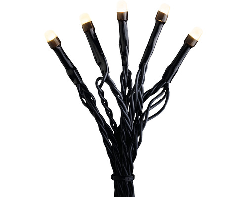 LED-lichtsnoer met warm witte lichten en zwarte kabel