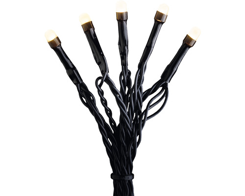 LED-lichtsnoer met warmwitte lampen en zwarte kabel