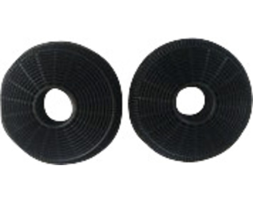 Twee afzuigkapfilters van actieve kool