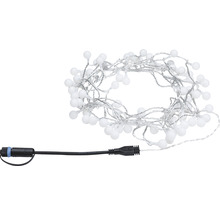 Lichtsnoer met witte bolletjes en zwarte kabel