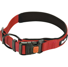Rode hondenhalsband met metalen gesp