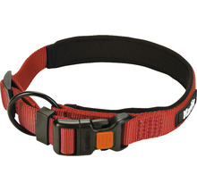 Hondenhalsband van nylon met gesp