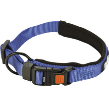 Hondenhalsband van nylon met gesp