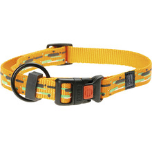 Halsband voor honden met patronen en metalen elementen