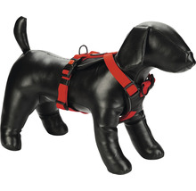 Hond met rood hondentuig.