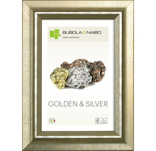 Fotolijst met gouden en zilveren motieven