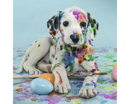 THE WALL Schilderij canvas Colorful Dog 30x30 cm