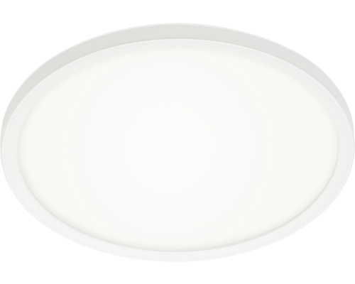 Ovale plafondlamp