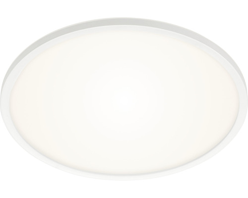 Ovale plafondlamp